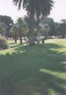 bloemfontein_1.jpg (3727 Byte)